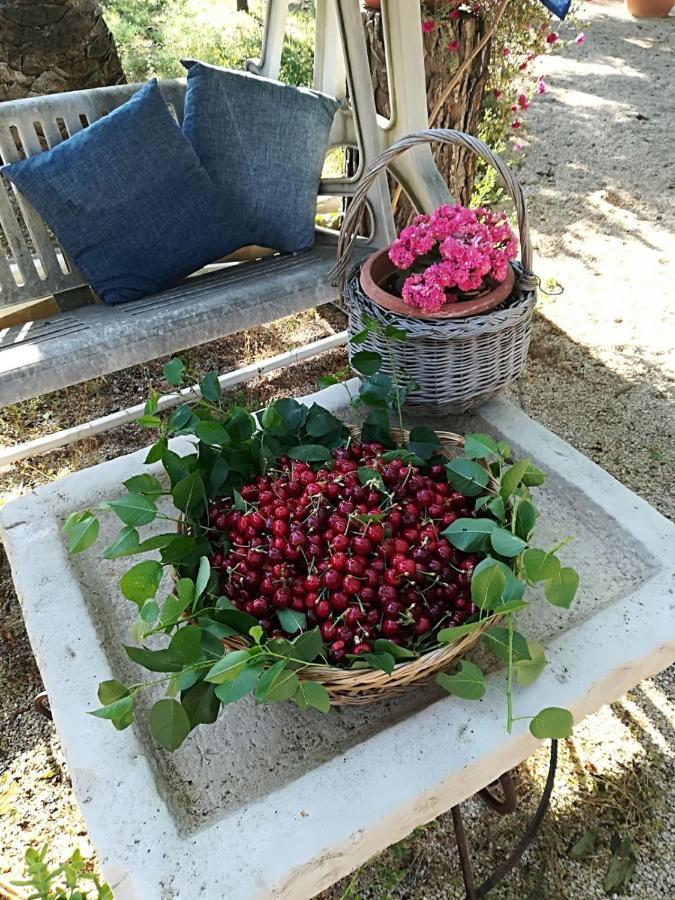 B&B Nonna Laura Trani Εξωτερικό φωτογραφία